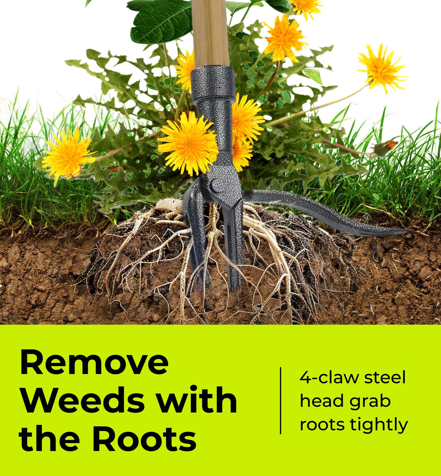 Heavy Duty Weed Puller Tool – Dandelion Weeding Tool – Long Bamboo Handle, Stainless Steel 4 Claw Weeder - Easily Remove Weeds Without Bending