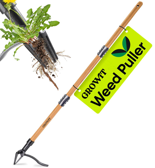 Heavy Duty Weed Puller Tool – Dandelion Weeding Tool – Long Bamboo Handle, Stainless Steel 4 Claw Weeder - Easily Remove Weeds Without Bending